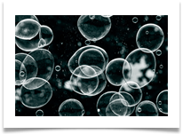 Bubbles DSC_3228 - Carol Sparkes